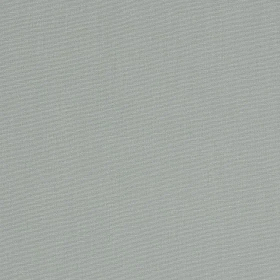 orc_7552_120_argent_rvb_zoom_3920995