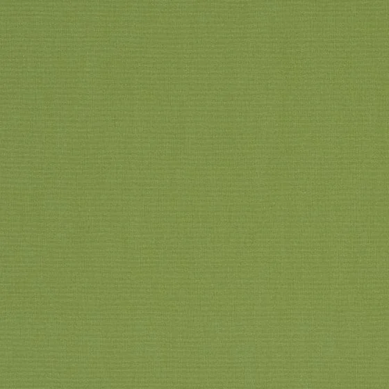 orc_7244_120_amande_rvb_zoom_4129613