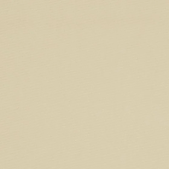 orc_7548_120_ivoire_rvb_zoom_2844522
